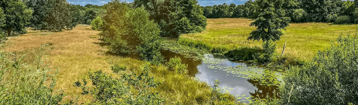 Lauwersmeer friesland losloopgebieden header